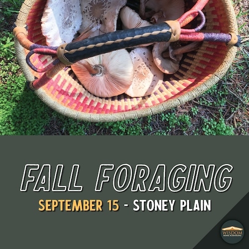 Survival: Fall Foraging - Stony Plain